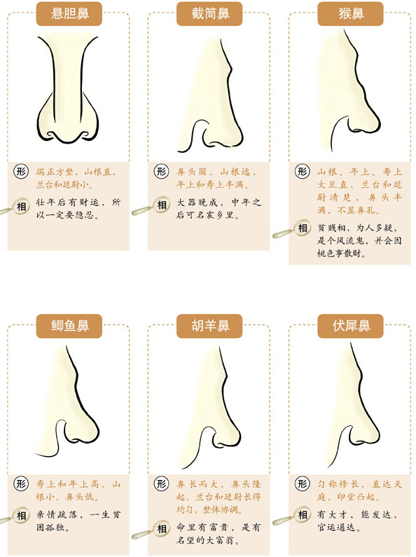 （李向东）鼻子山根的面相特征，你知道吗？