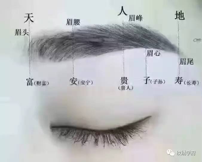 好面相的女人具备有哪些面部特征？你知道吗？