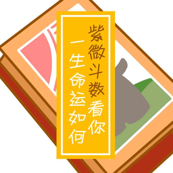 元亨紫微排盘排盘命盘解析