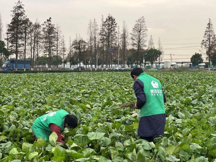 上海市网购商会：快递、外卖、网上“菜篮子”影响几何？