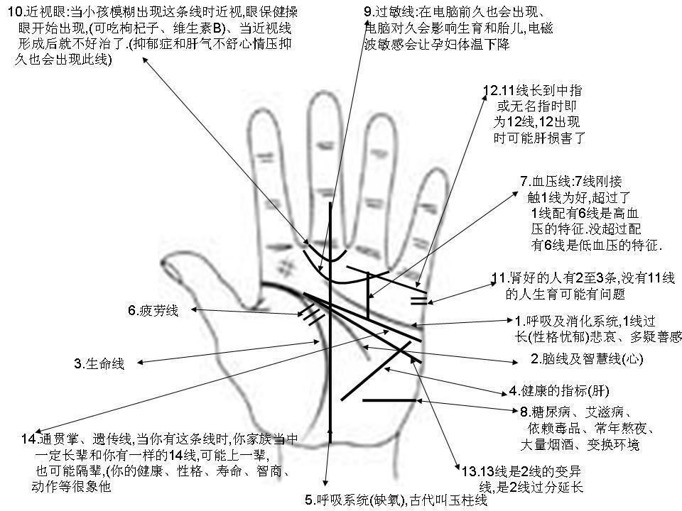 手相看财运，命好还是命薄？