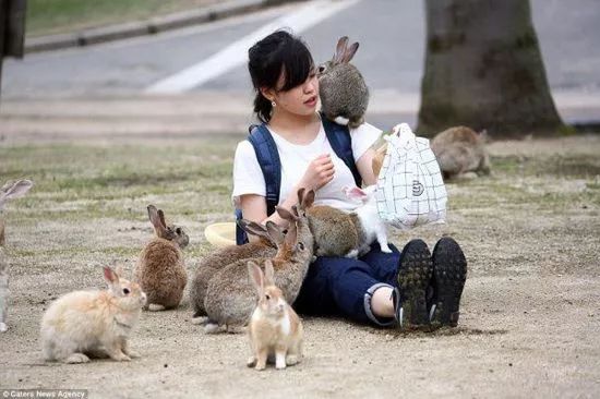 2019年每月运势完整版属兔人2019农历正月运势