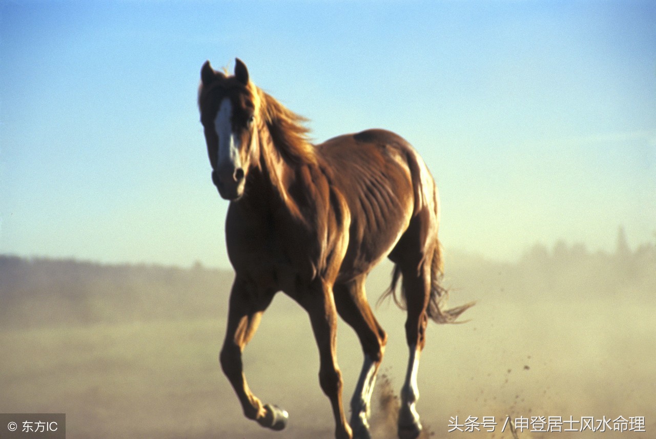 7月，财运旺盛，一路看涨的3大生肖