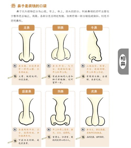 14中鼻型图解好命面相好面相有哪些？