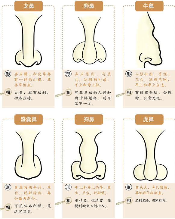 男人鼻子大的男人面相是怎样的呢?涨知识!