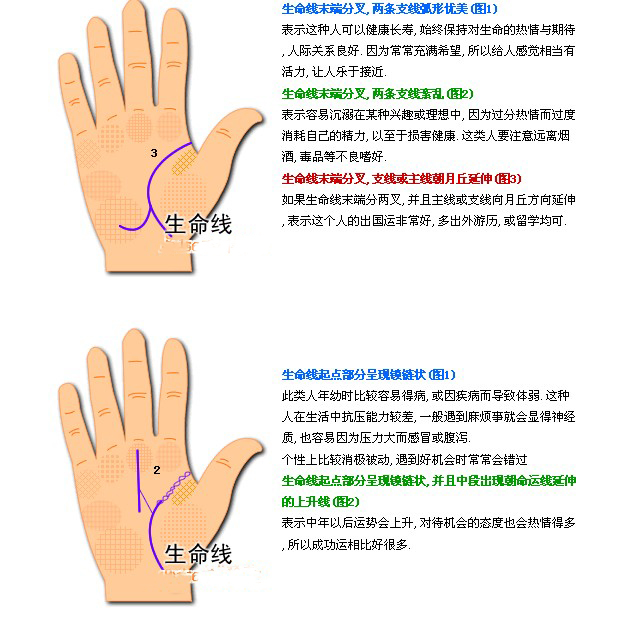 紫微风水堂:双重生命线代表什么?