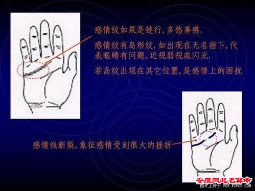 （李向东）情感线的图形线，你了解吗？