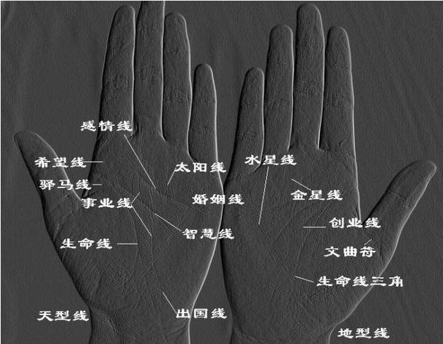 手相算命中生命线短代表什么5种意义：代表