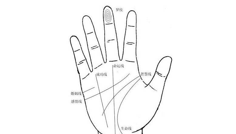 手相中有凤尾纹就会离婚吗要看现实中的夫妻感情