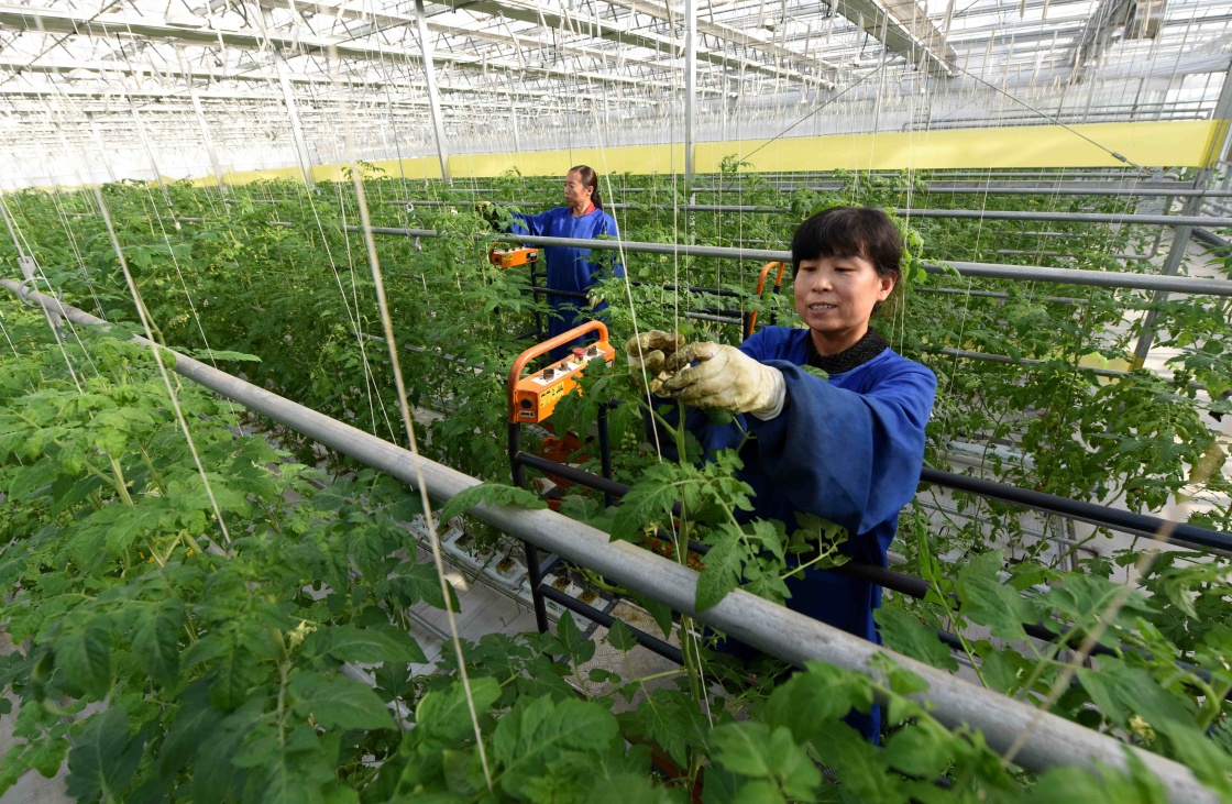 （三农日报）农业种植现闭合产业链模式（附案例）