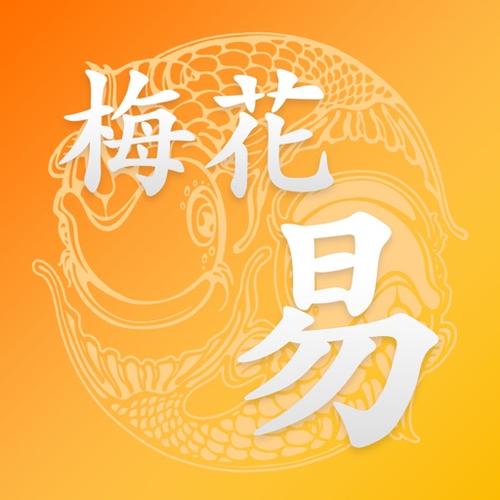 梅花易数专业版