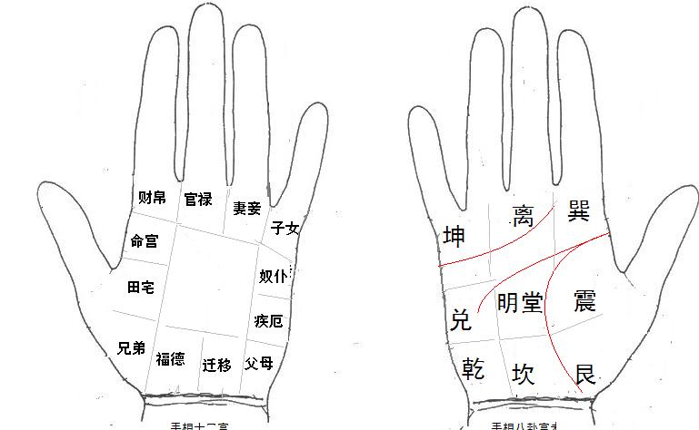 八字算命婚姻免费测试的话，掌中有干坤纹理可看命