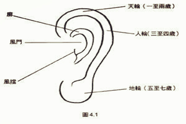 面相学耳朵代表什么