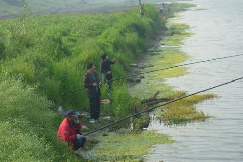 风水堂：梦见墓地可能暗示某些事情