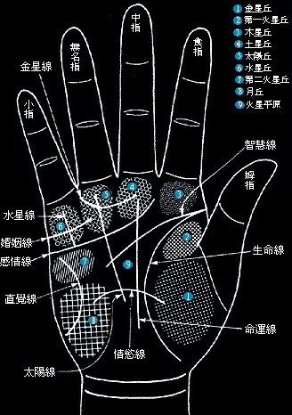 手相婚姻线细淡，表示多情温柔，爱情深厚长久