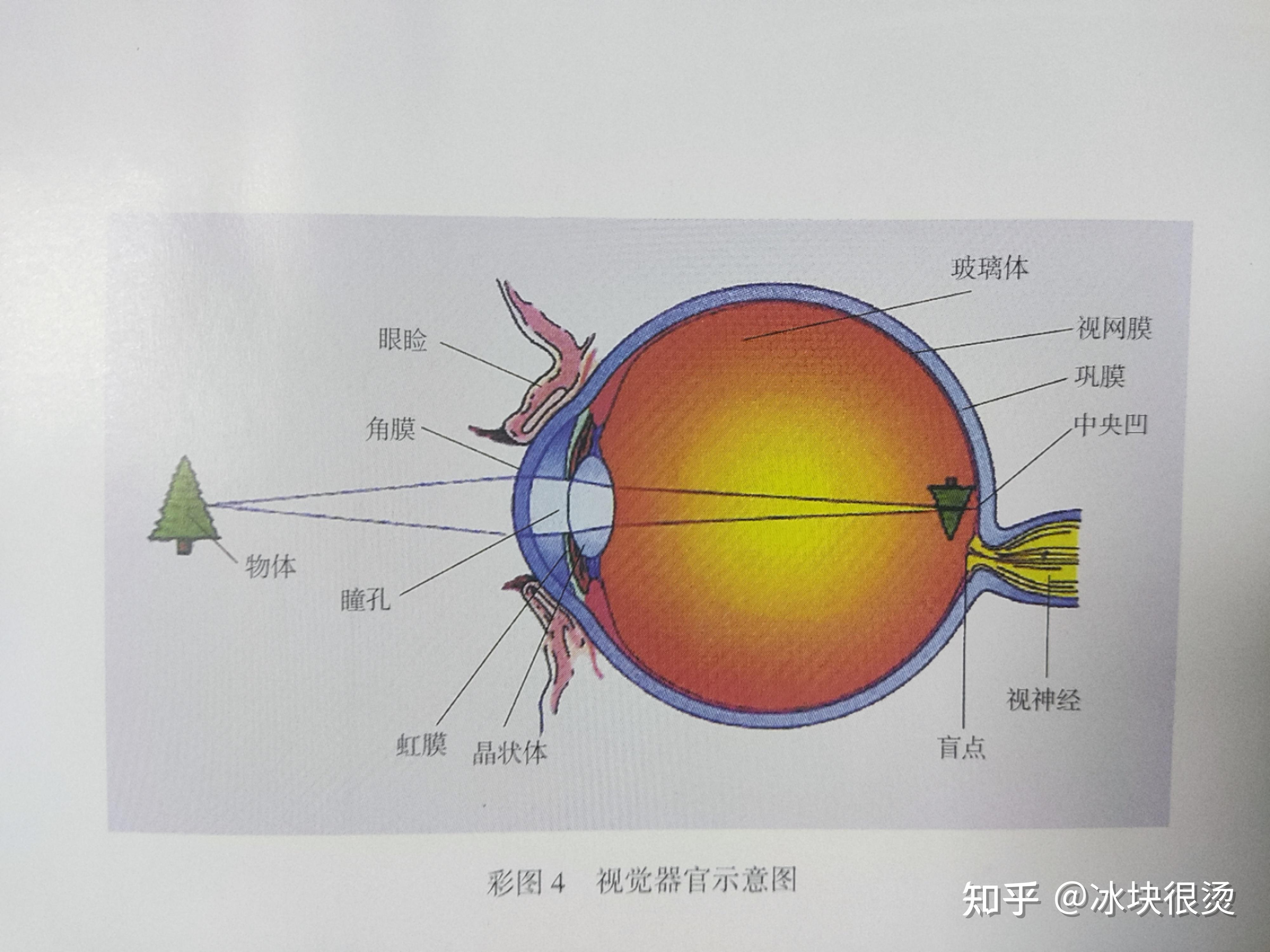 从暗环境到亮环境的过程中，我们该如何应对？